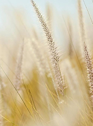 welcome大发系统-追求康健,你我一起生长