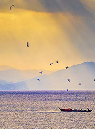 welcome大发系统-追求康健,你我一起生长