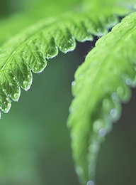 welcome大发系统-追求康健,你我一起生长