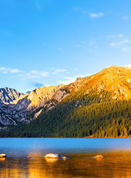 welcome大发系统-追求康健,你我一起生长