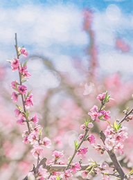 welcome大发系统-追求康健,你我一起生长