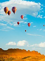 welcome大发系统-追求康健,你我一起生长