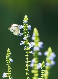 welcome大发系统-追求康健,你我一起生长