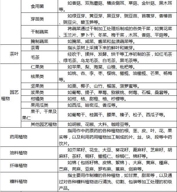 welcome大发系统-追求康健,你我一起生长
